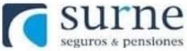 Logotipo de Sur Seguros & Patrimonios, una empresa dedicada a ofrecer soluciones de seguros y protección patrimonial.