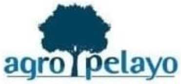 Logo de la empresa "Eco Pelas", que representa un árbol estilizado en color azul, simbolizando sostenibilidad y conexión con la naturaleza.