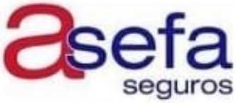 Logo de la empresa de seguridad, con el nombre "Sefor" en colores rojo y azul, representando servicios de protección y vigilancia.